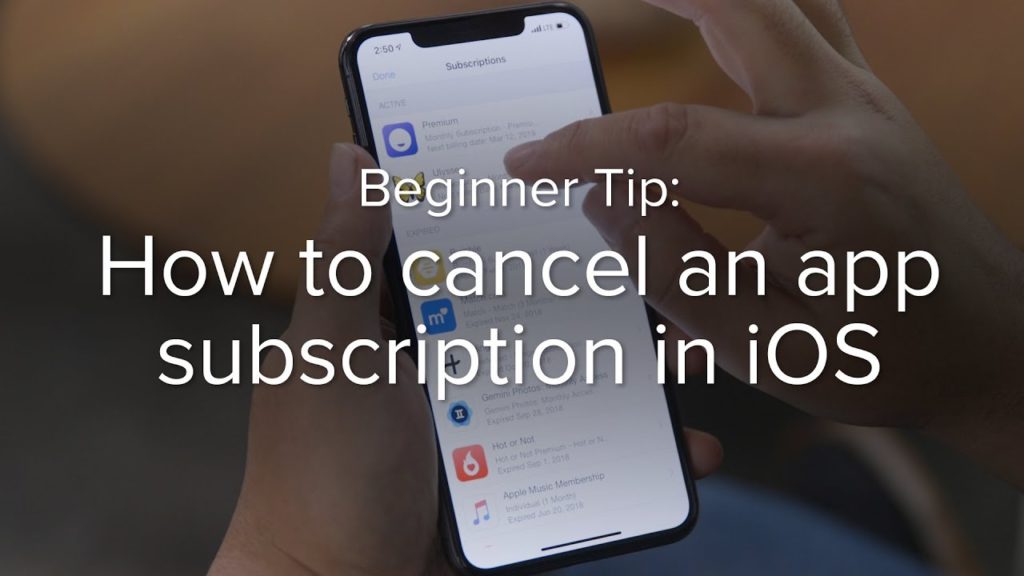 How to get a refund for an iOS app or subscription? 2 Easy Steps
