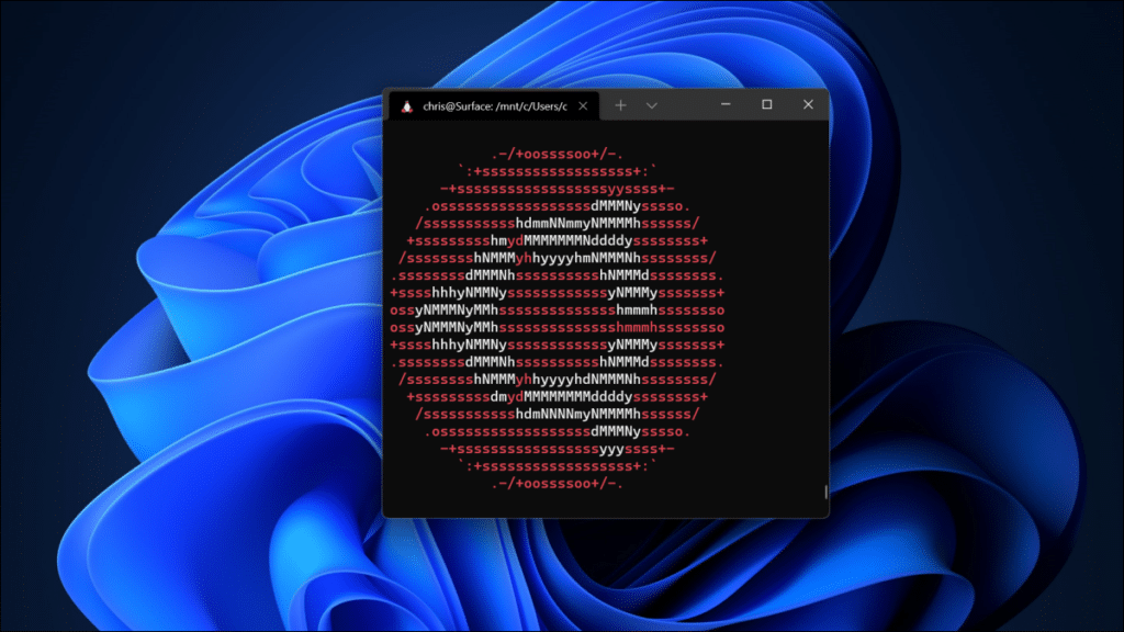 How to Install Linux on Windows 11 using WSL 2