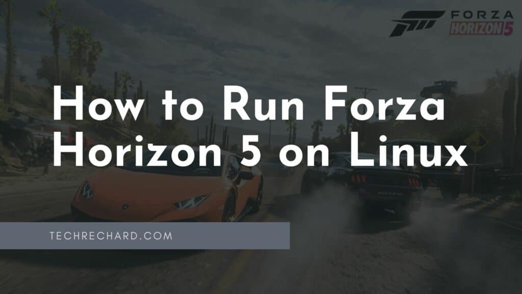 Run Forza Horizon 5 on Linux