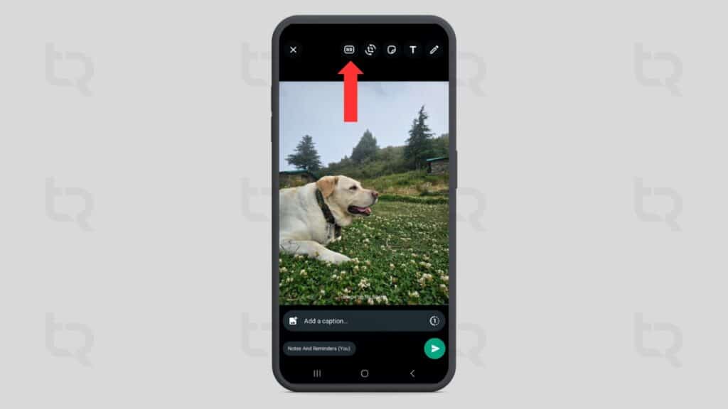 How to Send High-Quality HD Photos via WhatsApp without Compression